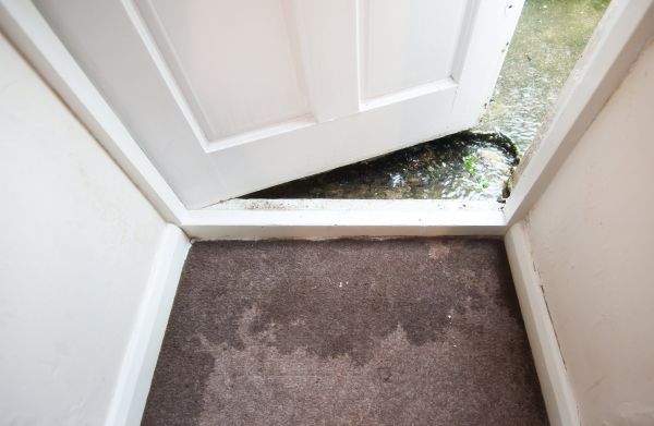 Wet Carpet Restoration in Taylor