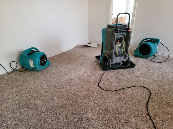 Cost of Flood Damage Repair in Taylor