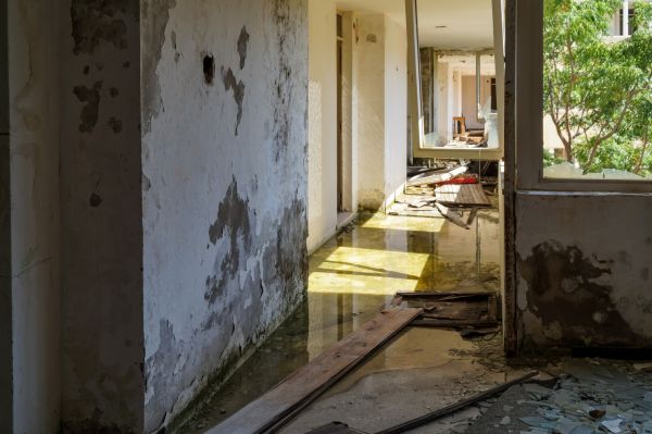 Cost of Water Removal Service in Taylor