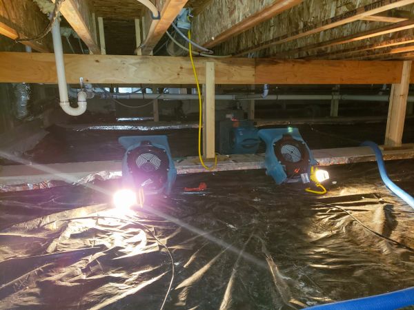 Cost of Crawlspace Water Removal in Taylor