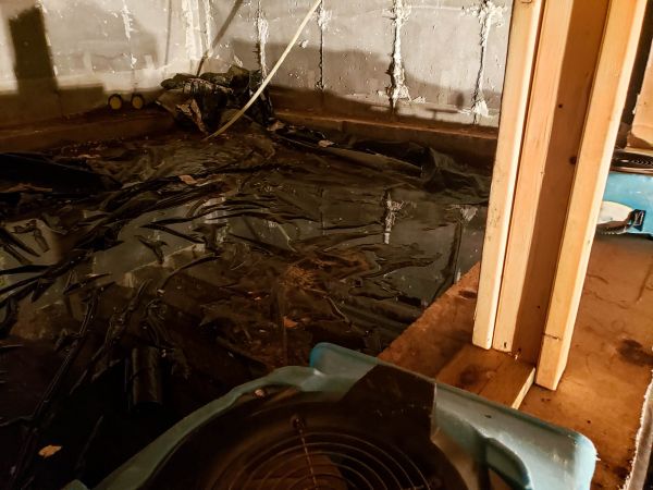 Cost of Crawlspace Water Cleanup in Taylor