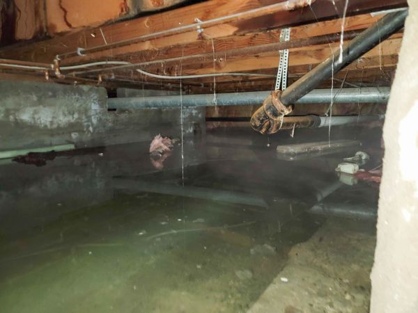 Cost of Crawlspace Water Restoration in Taylor